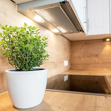 Berolina 804 Penthouse Mit Meerblick *